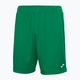 Pánské fotbalové šortky Joma Nobel Green 100053 5