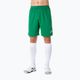 Pánské fotbalové šortky Joma Nobel Green 100053 6