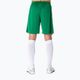 Pánské fotbalové šortky Joma Nobel Green 100053 7