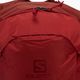 Turistický batoh Salomon Trailblazer 20 l červený LC1520300 4