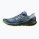 Pánská běžecká obuv Salomon Sense Ride 4 blue L41210400 13