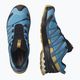 Pánská běžecká obuv Salomon XA Pro 3D V8 L41439900 14