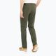 Pánské trekové kalhoty Salomon Wayfarer Zip Off zelené LC1741100 2