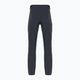 Pánské trekové kalhoty Salomon Wayfarer šedé LC1713600 2