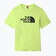Pánské trekingové tričko The North Face Easy zelené NF0A2TX3HDD1 8