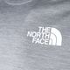 Pánské trekingové tričko The North Face Ma šedé NF0A5IEUGAU1 9