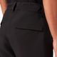 Pánské snowboardové kalhoty Oakley Axis Insulated black FOA403446 4
