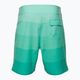 Pánské plavecké šortky Oakley Retro Mark 19" zelené FOA4043047GR 2
