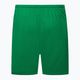 Pánské fotbalové šortky Nike Dry-Fit Park III zelené BV6855-302 2