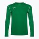 Pánské fotbalové tričko longsleeve   Nike Dri-FIT Park 20 Crew pine green/white