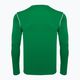 Pánské fotbalové tričko longsleeve   Nike Dri-FIT Park 20 Crew pine green/white 2