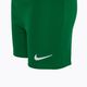 Dětská fotbalová souprava  Nike Dri-FIT Park Little Kids pine green/pine green/white 5