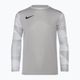 Dětský brankářský dres Nike Dri-FIT Park IV Goalkeeper pewter grey/white/black