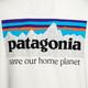 Dámské trekové tričko Patagonia P-6 Mission Organic birch white 6