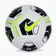 Nike Academy Team fotbalový míč černobílý CU8047-100 2