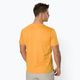 Pánské trekingové tričko Columbia Zero Ice Cirro žluté 1990463 3