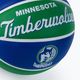 Mini basketbal Wilson NBA Team Retro Mini Minnesota Timberwolves zelená WTB3200XBMIN 3