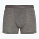 Pánské termo boxerky  icebreaker Merino 125 Cool-Lite Anatomica gritstone heather