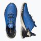 Pánská běžecká obuv Salomon Supercross 4 GTX blue L41732000 12