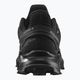 Pánská trailová obuv Salomon Alphacross 4 GTX L47064000 14