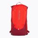 Turistický batoh Salomon Trailblazer 10 l Aura Orange/Biking Red LC2059500