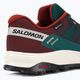 Pánské trekingové boty Salomon Outrise GTX modré L47142100 8