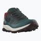 Pánské trekingové boty Salomon Outrise GTX modré L47142100 11