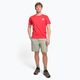 Pánské trekingové tričko The North Face AO Graphic červené NF0A7SSCV331 2