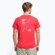 Pánské trekingové tričko The North Face AO Graphic červené NF0A7SSCV331 4