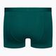 Pánské termální boxerky Icebreaker Anatomica Cool-Lite green 105223 2