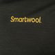 Pánské tričko Smartwool Memory Quilt Graphic Tee Guitar trekking shirt black 16834 6