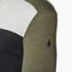 Pánské tričko Smartwool Classic Thermal Merino Base Layer Colorblock Crew Boxed Green 16354 3