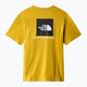 Pánské trekingové tričko The North Face Redbox žlutá NF0A2TX276S1 10