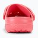 Nazouváky  Crocs Classic hot blush 7