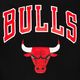 Pánská mikina New Era NBA Regular Hoody Chicago Bulls black 3