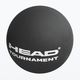 HEAD sq Tournament Squash Ball 1ks černý 287326 2