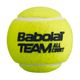 Sada tenisových míčků 4 ks. BABOLAT Team All Court 4 žlutá 502081 3