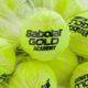 BABOLAT tenisové míče Gold Academy Bag X72 žlutá 512007 2