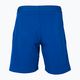 Pánské tenisové šortky Tecnifibre Stretch blue 23STRE 2