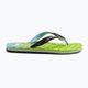 Pánské žabky Quiksilver Oahuey green AQYL101313 10