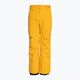 Quiksilver Estate Dětské snowboardové kalhoty Youth mineral yellow 5
