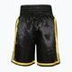 EVERLAST Comp Boxe Shorts black EV1090 BLK/GOLD-S 2