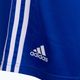 Boxerské šortky adidas modré ADIBTS02 3