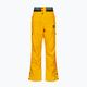 Picture Picture pánské lyžařské kalhoty Object 20/20 yellow MPT114