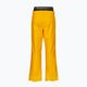 Picture Picture pánské lyžařské kalhoty Object 20/20 yellow MPT114 2