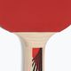 Raketa na stolní tenis DONIC Legends 600 FSC 724416 5