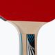 Raketa na stolní tenis DONIC Legends 1000 FSC černá 754427 5