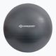 Gymnastický míč Schildkröt Gymnastic šedý 960157