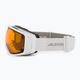 Lyžařské brýle Alpina Double Jack Mag Q-Lite white gloss/mirror black 4