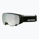 Lyžařské brýle Alpina Double Jack Mag Q-Lite black matt/mirror black 7